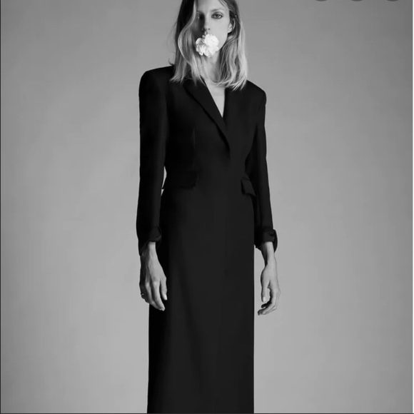 ZARA COAT DRESS BLOGGER FAVORITE SIZE L - Picture 3 of 10